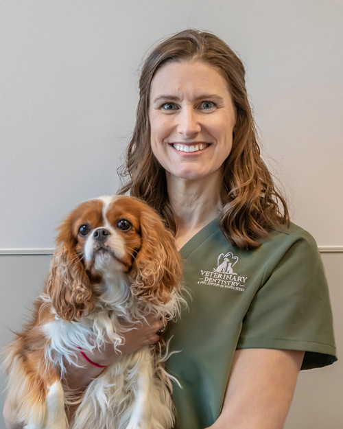 Jessica Johnson, DVM, DAVDC, FF-AVDC-OMFM